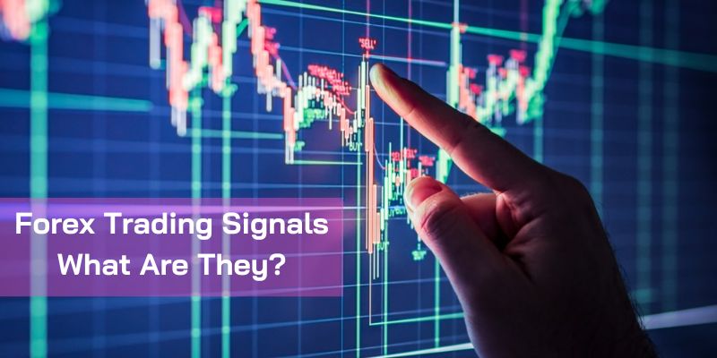 Forex Trading Signals: What Are They?