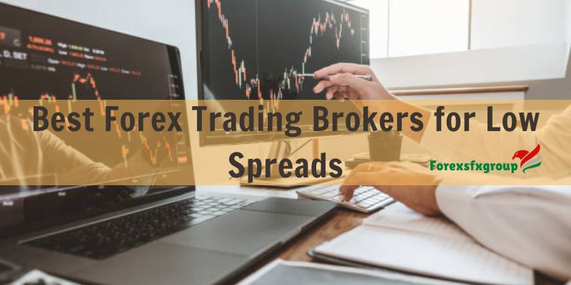 Unmasking the Best Forex Trading Brokers for Low Spreads