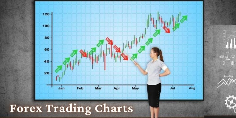 Forex Trading Charts for Better Visual Insights