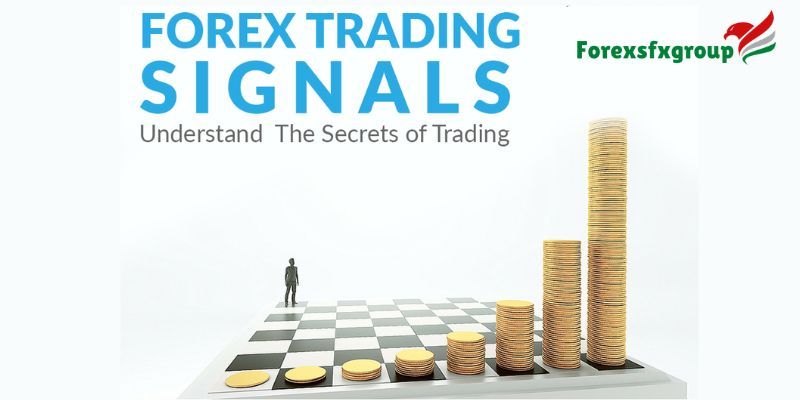 What Are Forex Trading Signals?