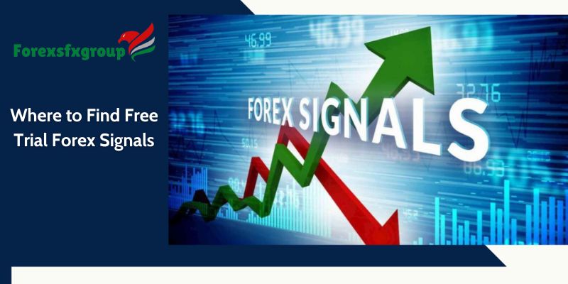 Where to Find Free Trial Forex Signals