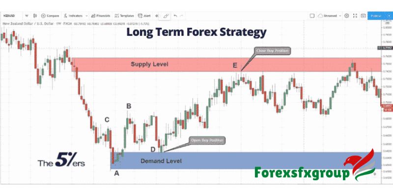 Long-Term Forex Trading Strategies